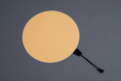 Astrophotography 8" Circle EL Panel Kit