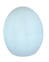 Blitar 24" Globe Shaped Wired LED Outdoor Landscape Light