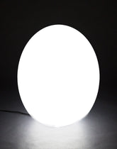 Blitar 32" Large Globe Shaped Wired LED Outdoor Landscape Light