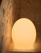 Blitar 20" Solar & Rechargeable Powered Integrated LED Color Changing Outdoor Light