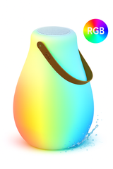 Padang Play Portable Lamp + Speaker Rechargeable