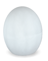 Blitar 8" Globe Shaped Wired LED Outdoor Landscape Light White Light