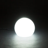 Blitar 12" Globe Shaped Wired LED Outdoor Landscape Light