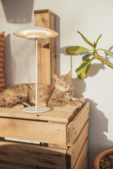 Tual Cordless LED Outdoor Table Lamp 16" White