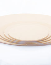 Frosted Acrylic Disc For Round EL Panels (Multiple Sizes Available)