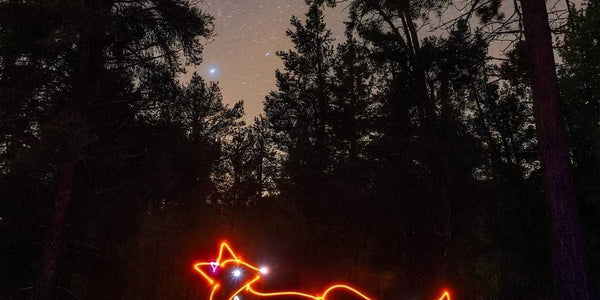 How to make a DIY LED NEON SIGN WITH PIXEL FREE LED TRIM