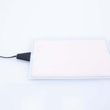 Parallel EL Panel 4" x 6" Rectangle - Medium