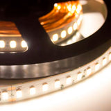 Wavelux 24V High Output 95CRI LED Strip 5m
