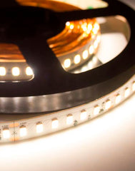 Wavelux 24V High Output 95CRI LED Strip 5m