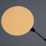 Astrophotography 8" Circle EL Panel Kit