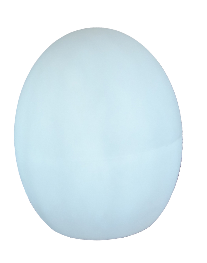 Blitar 24" Globe Shaped Wired LED Outdoor Landscape Light, Ellumiglow