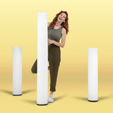 Kediri 63'' 160 Integrated LED Plug In Outdoor Floor Lamp