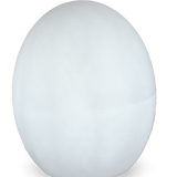 Blitar 8" Solar Powered + Rechargeable Integrated LED Color Changing Outdoor Pool Floating Light, Ellumiglow