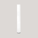 Kediri 63'' 160 Integrated LED Rechargeable Battery Floor Lamp rgbw