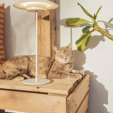 Tual Cordless LED Outdoor Table Lamp 16" White, Ellumiglow