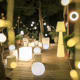 Sorong 65'' 165 Integrated LED Wired Outdoor Floor Lamp, Ellumiglow