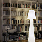 Sorong 65'' 165 Integrated LED Wired Outdoor Floor Lamp, Ellumiglow