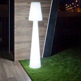 Sorong 65'' 165 Integrated LED Wired Outdoor Floor Lamp, Ellumiglow
