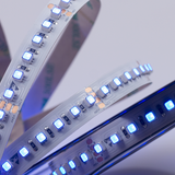 Auralux High Output 24V 3535 RGB Light Strip - 5M