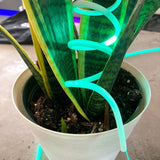 DIY Neon Laser Wire Kit