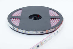 Auralux DMX Direct LED Strip Light RGBW (6000K White)