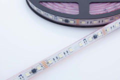 Auralux DMX Direct LED Strip Light RGBW (6000K White)