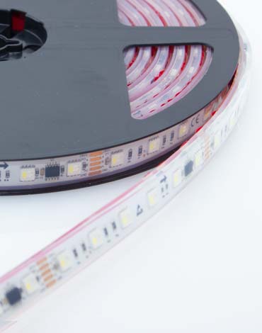 CLOSEOUT Auralux DMX Direct LED Strip Light RGBW (6000K White)