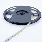 Wavelux 24V LED Dot Strip - Reel 2 Reel