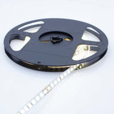 Wavelux 24V LED Dot Strip - Reel 2 Reel