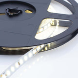 Wavelux 24V LED Dot Strip - Reel 2 Reel