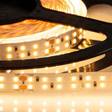 Wavelux 24V Fine Density Dual Row Micro LED Strip Light 