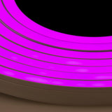 Pixel-Free LED Trim Control RGBW Smart Strip Light Sample Kit