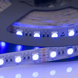 Auralux 24V RGBW LED Strip Light 5M
