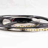 Wavelux 24V Ultra-Fine Density Micro LED Strip Light